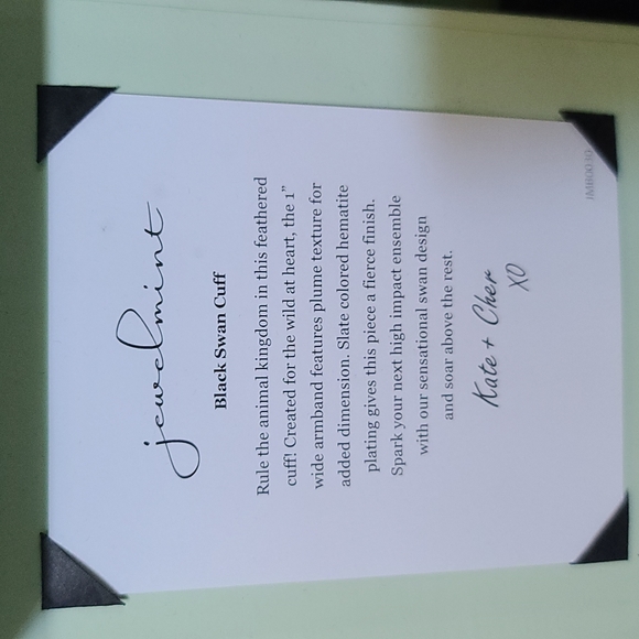 Empty Jewelmint boxes (pale green newer generation boxes) - Picture 5 of 7